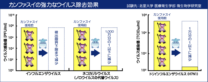 カンファスイ使用によるウイルス除去試験